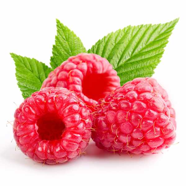 framboise ( barquette 125gr )